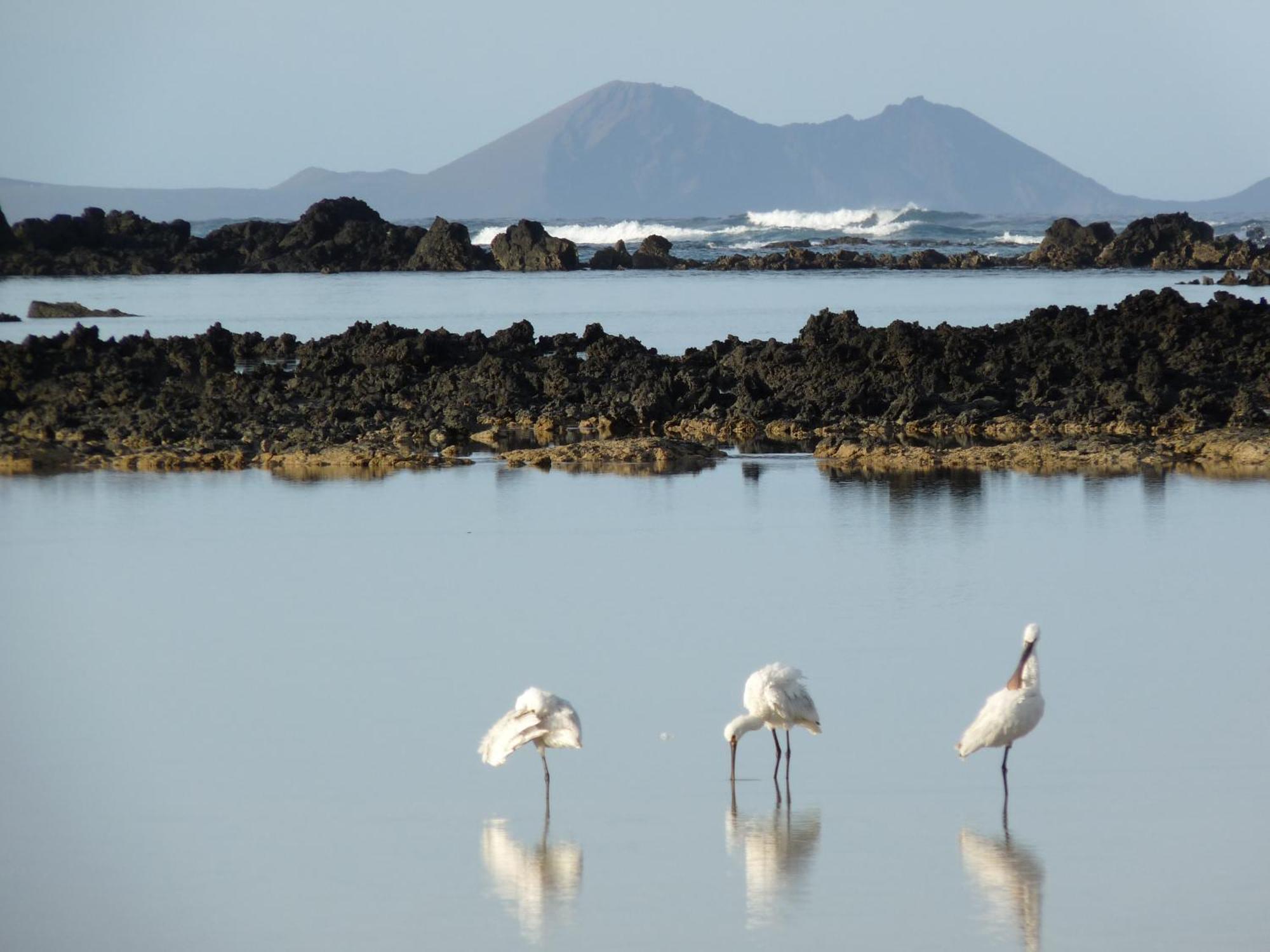 Casa Ana Y El Mar - Para Enamorados Del Mar - Lanzarote Тегисе Экстерьер фото